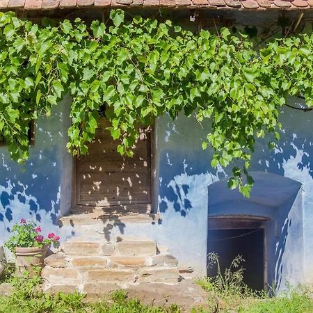 Experience Transylvania Viscri 63B Εξωτερικό φωτογραφία