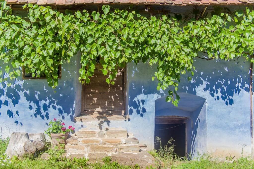 Experience Transylvania Viscri 63B Εξωτερικό φωτογραφία